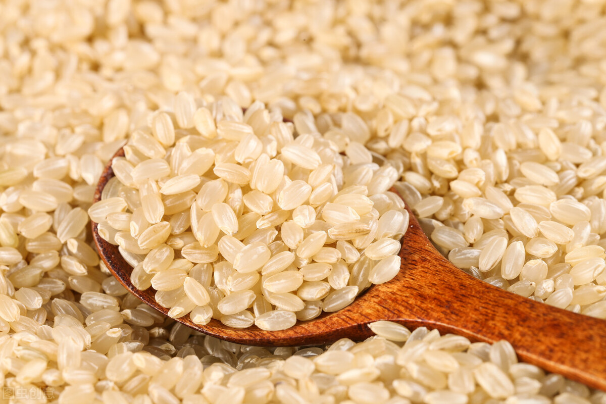 Why is germ rice so popular in Japan and South Korea? What are the