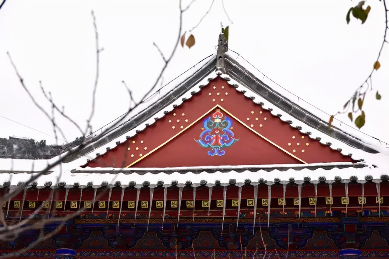 朝思暮想 等华清落雪 也等你 资讯咖