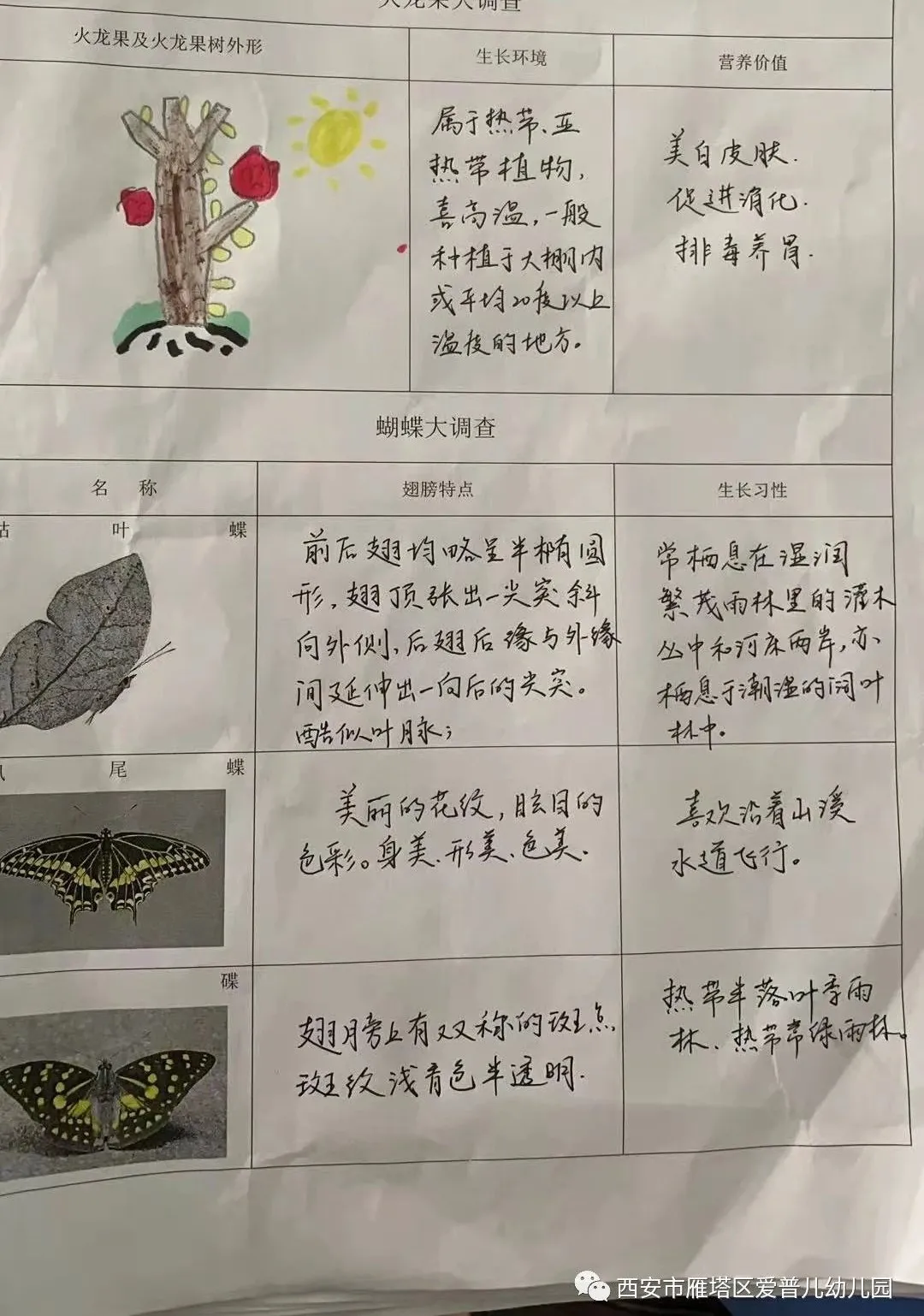 ����عˡ����ն��׶�԰�а�����ѧ��ʵ�߽���δ��