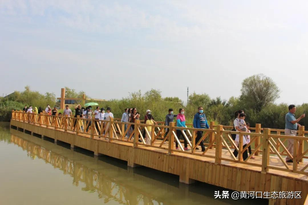 【黄河口生态旅游区】喜迎国庆 精彩纷呈