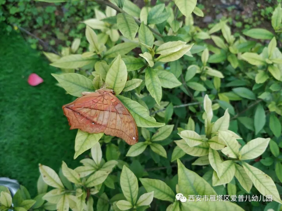 ����عˡ����ն��׶�԰�а�����ѧ��ʵ�߽���δ��