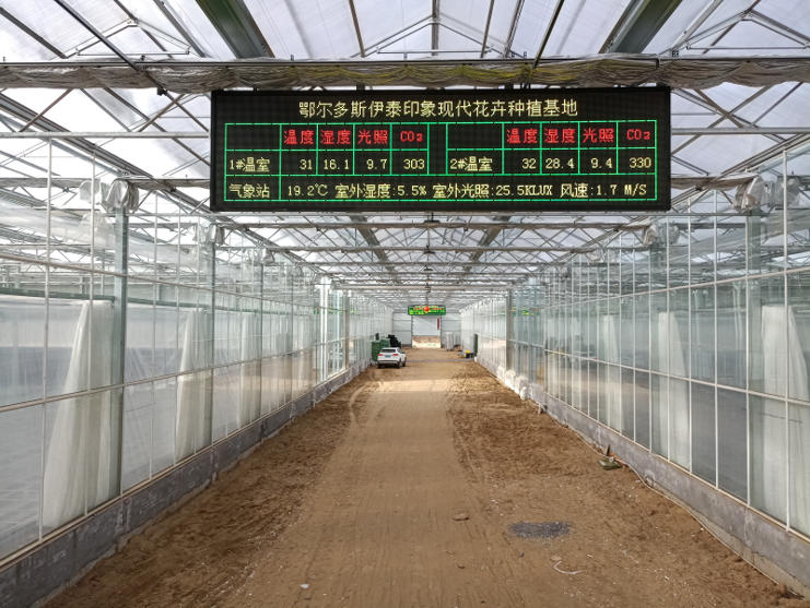 经济价值高的羊肚菌大棚如何设计建造？羊肚菌大棚建造难点