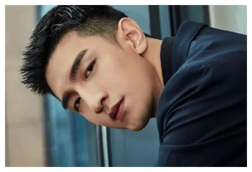 “爆红但很快凉凉”的四位男星，纪凌尘上榜，最后一位谁还记得？