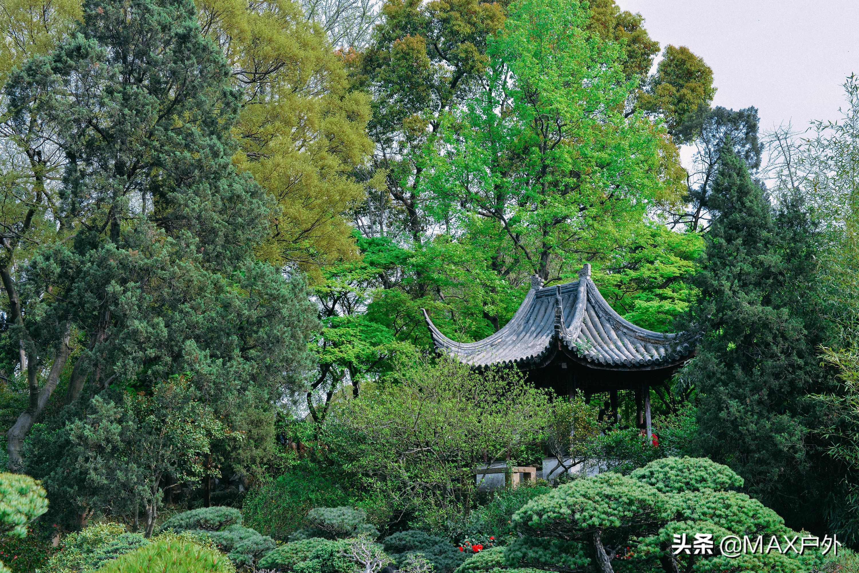 国内的10大古典园林，这才是正宗的中国风