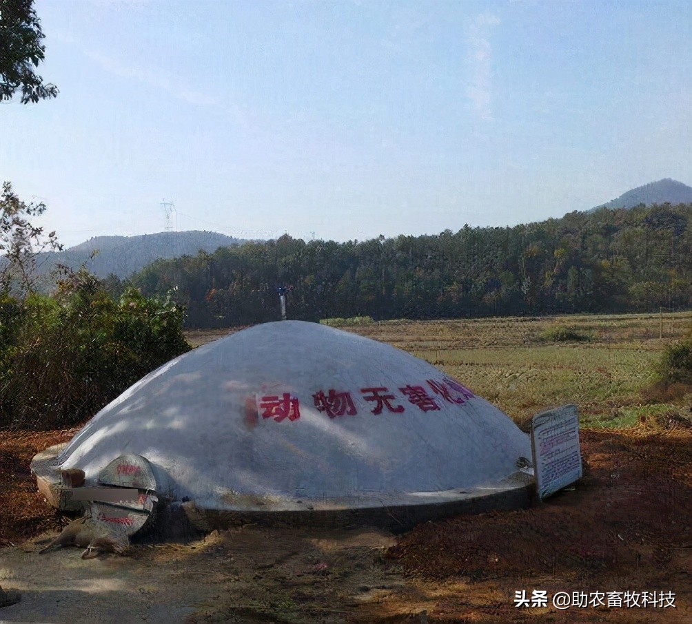 养殖场短时间处理较多病死动物如何低成本且不污染环境？