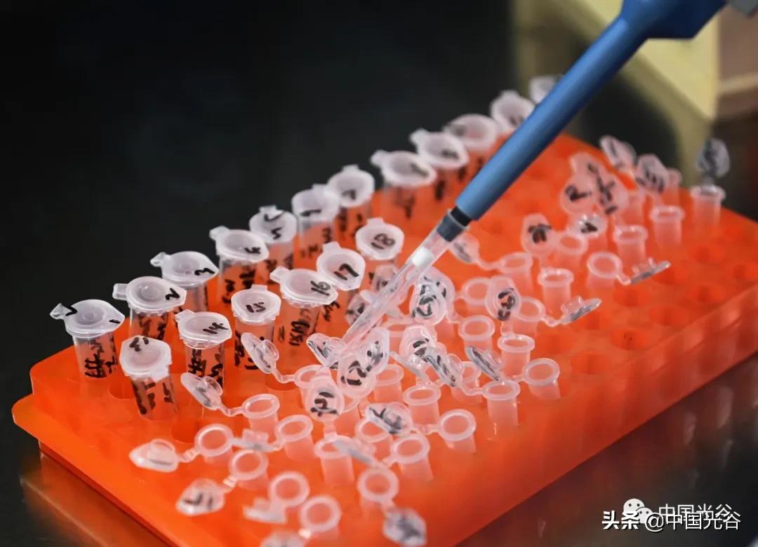 创新现场 | 睿健医药：以1.2倍速冲刺创新药研发