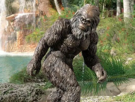 盘点5种神秘诡异的不明生物，第3种曾在我国先后