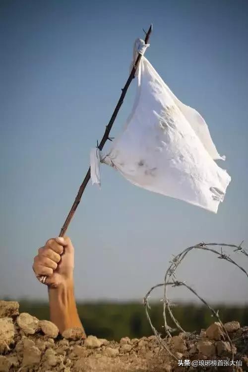 破净数量再次逼近2440点，股民举白旗投降：“不敢玩了！”