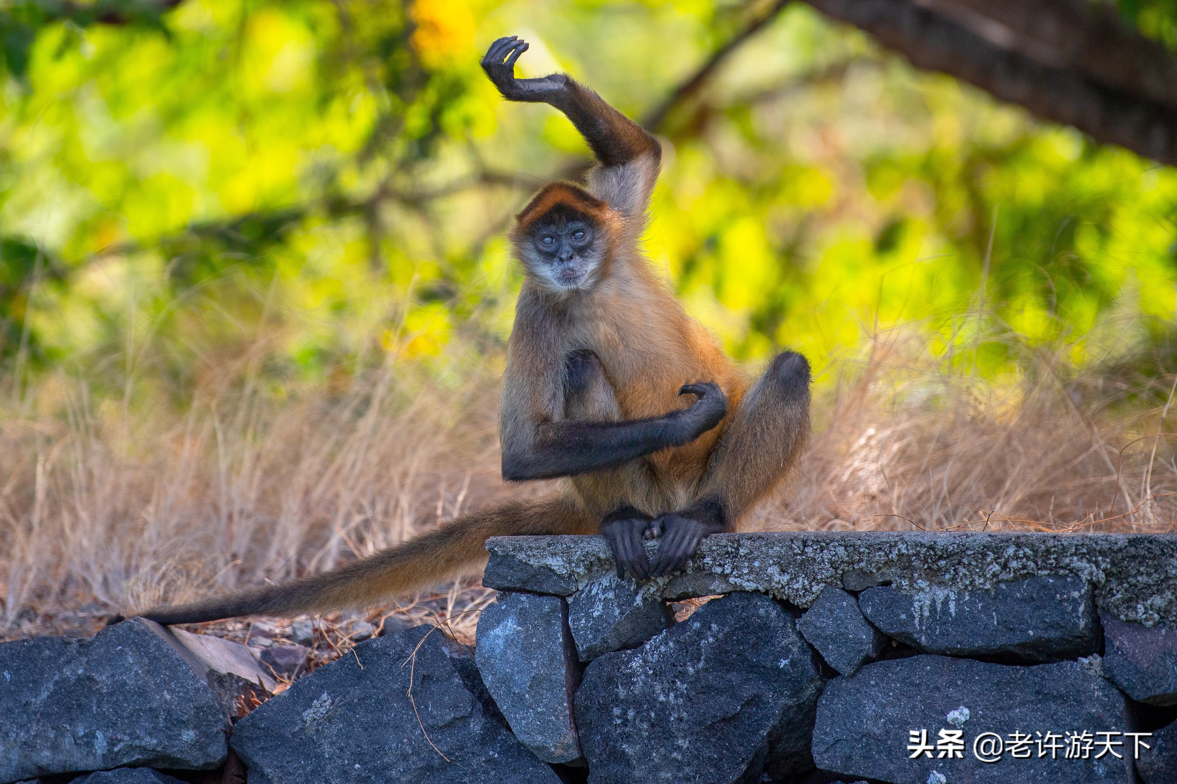 世界上最難去的10個(gè)國(guó)家和地區(qū)，邁過(guò)這些坎，周游世界就不是問(wèn)題