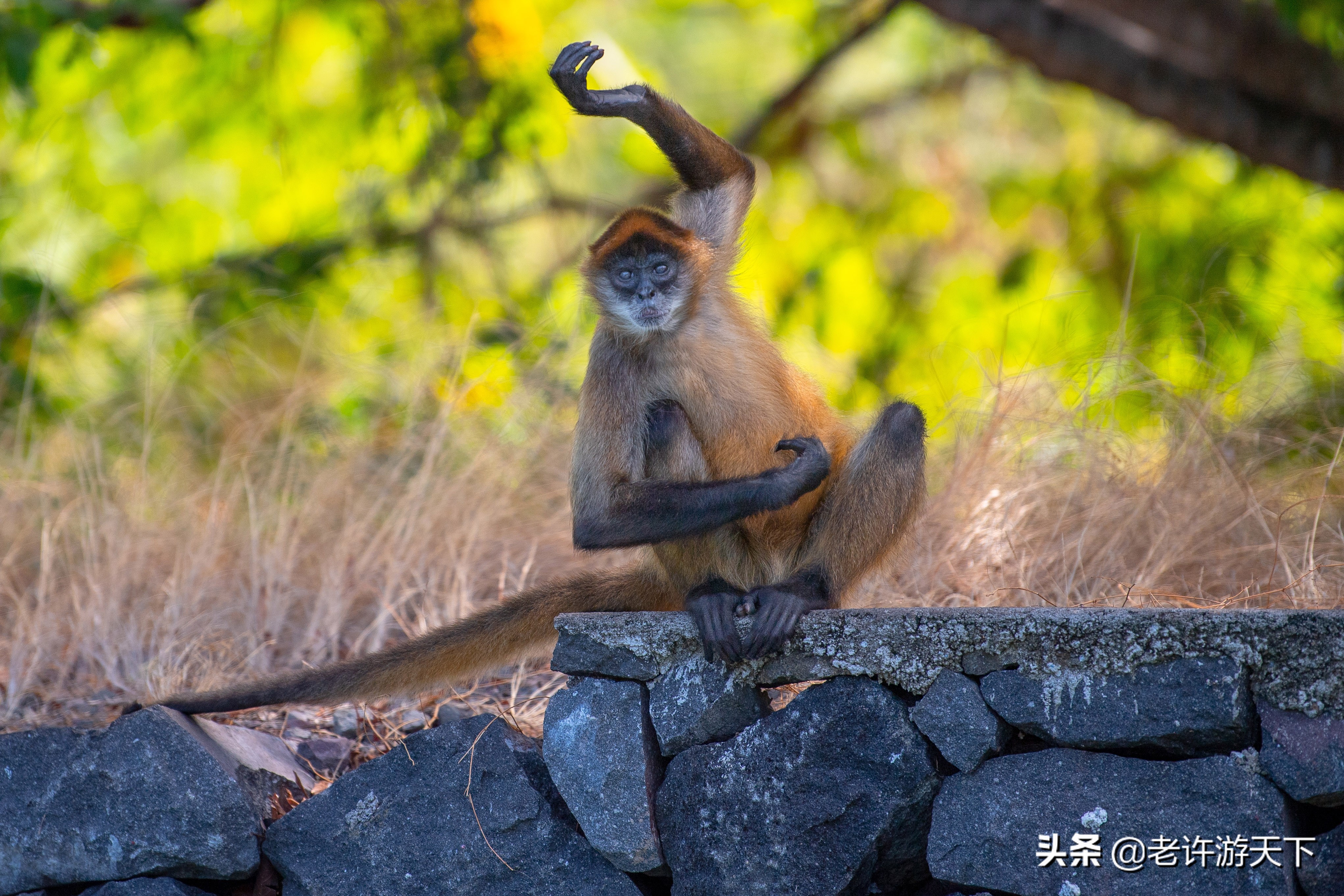 世界上最难去的10个国家和地区，迈过这些坎，周游世界就不是问题