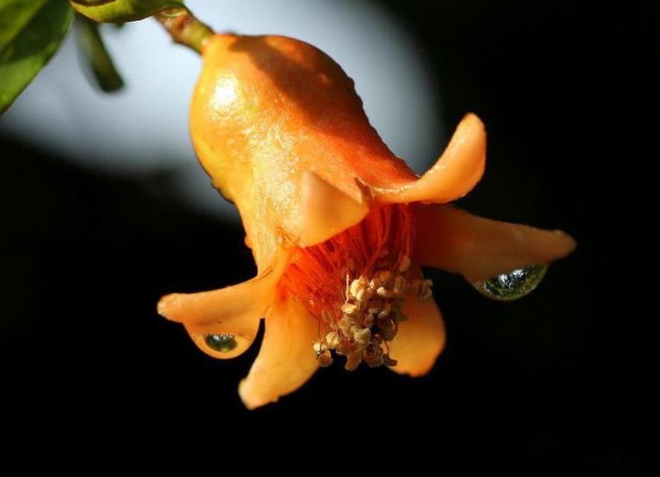 写给奔六的60后：人到老年，宁可孤独，也别轻谈感情，要警惕