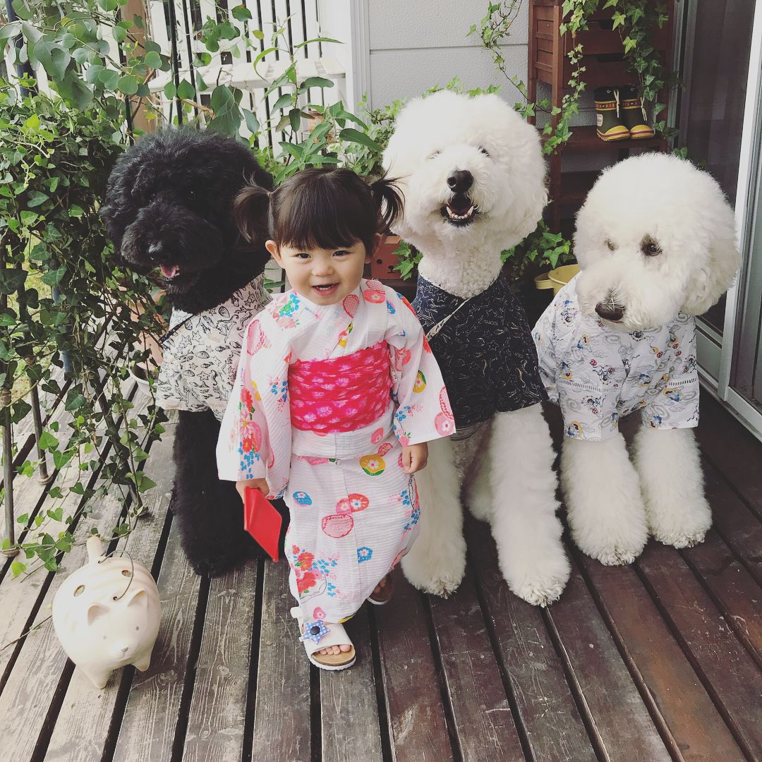 日本老太用贵宾犬给小女孩拍照，结果让你心都融化了