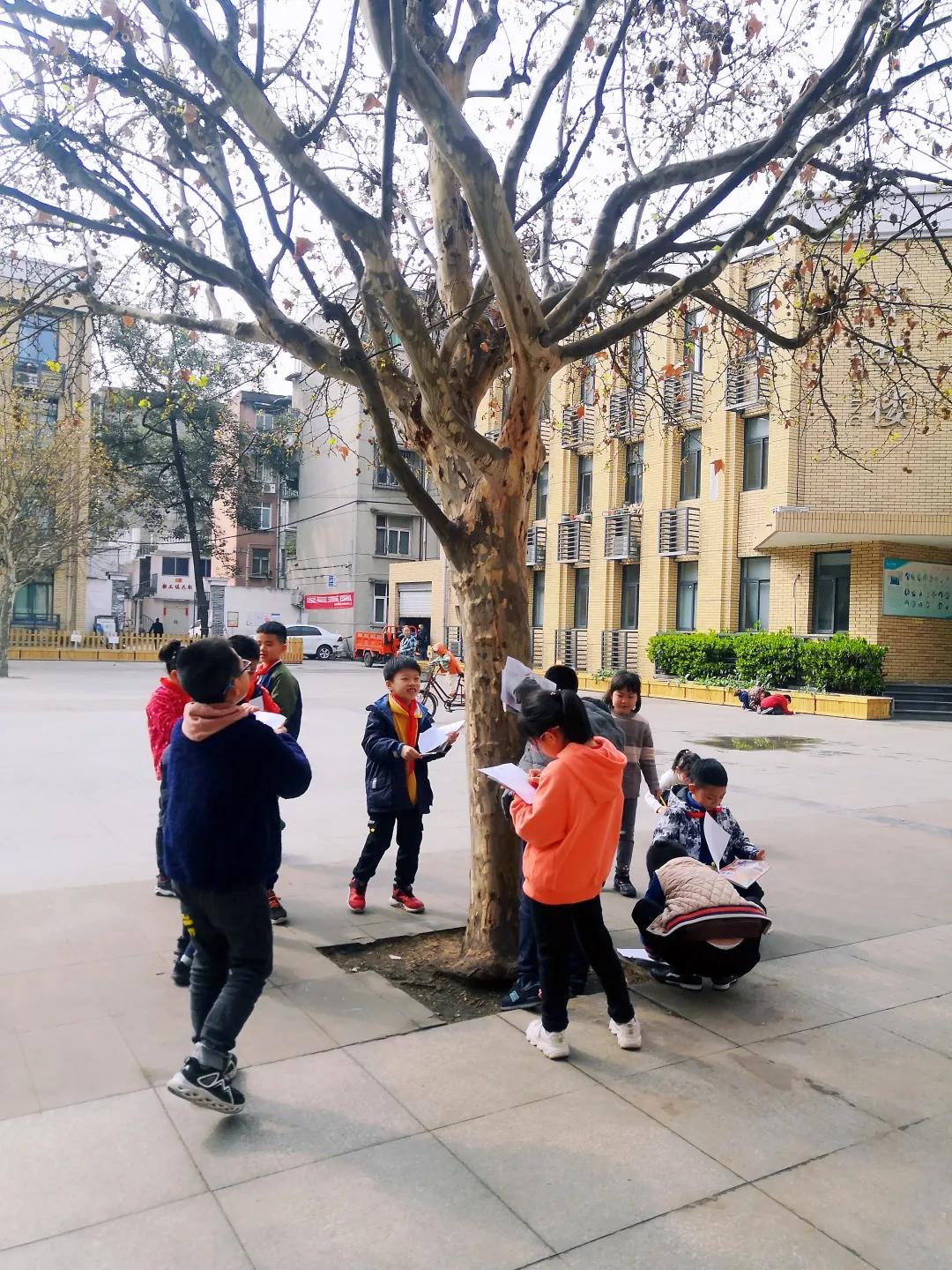 带上五官到校园里寻找春天——成都市华中附小大自然的语文课