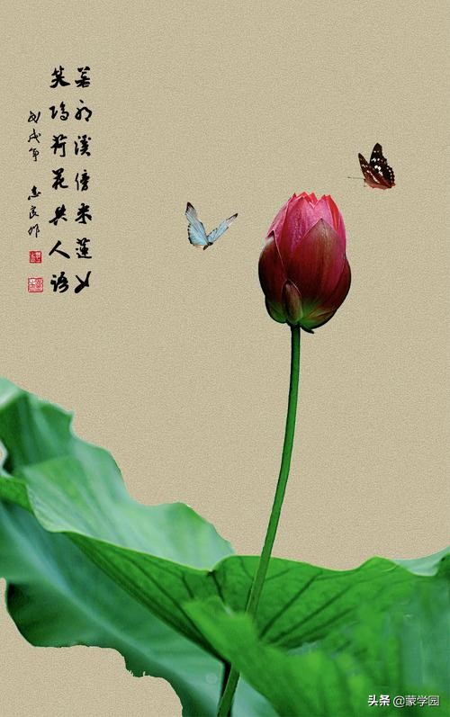 400句 春夏秋冬诗词名句，绝佳的作文积累，收藏起来！-第4张图片-非凡网