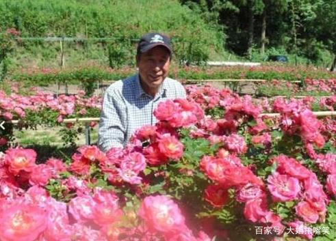 Love love love - send 3 red roses to give every week die old partner