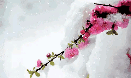 How Much Do You Know About The Three Clubs Huan Yi Is Done In One Song The Emblem Of The Emblem 