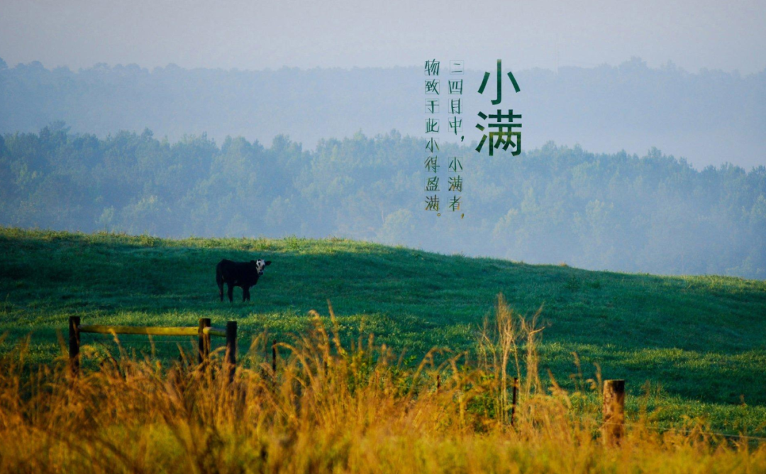 今日小满：物致于此 小得盈满，7首小满诗词赠于人生最好状态的你-第8张图片-非凡网