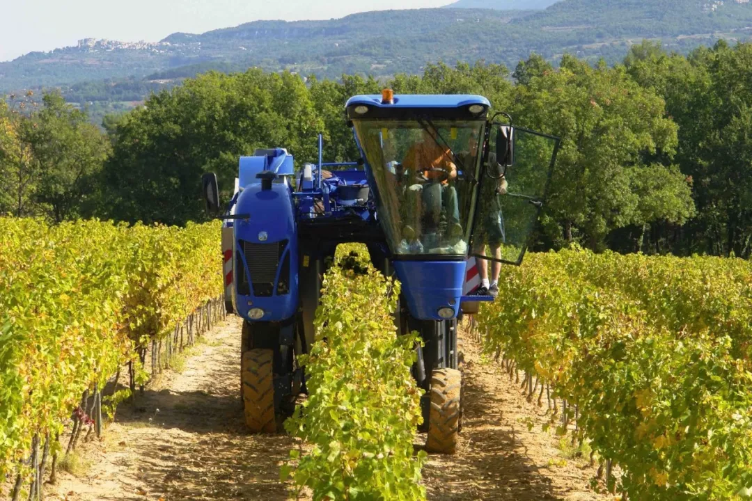 史上最全酿酒全过程详解，建议收藏（多图）