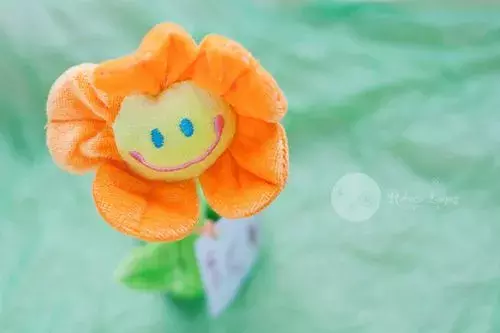 矫情的句子：我想我该忘记了，毕竟我不想打扰你图片