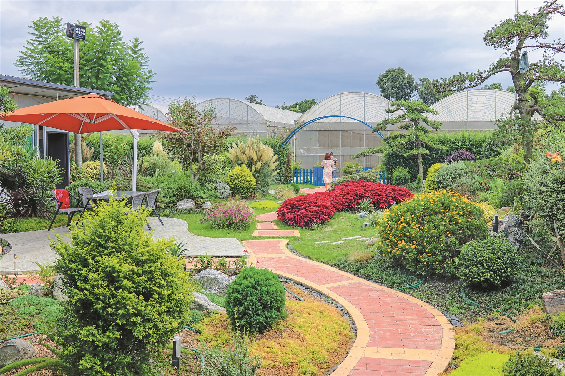 三道堰镇花卉种植搭配网红打卡地一三产业融合助农增收