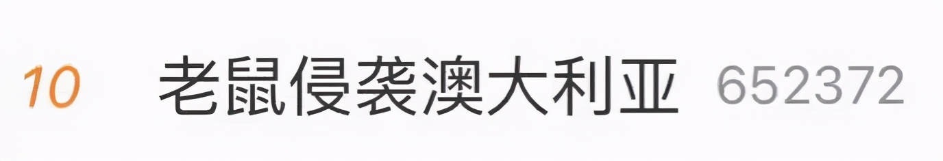 更多地区因洪灾沦陷！超市货架再次被搬空，老鼠占领澳大利亚