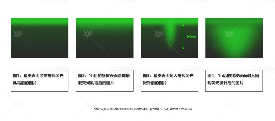 备受资本青睐的优微生物,会成为千亿功效护肤市场的破局者吗?
