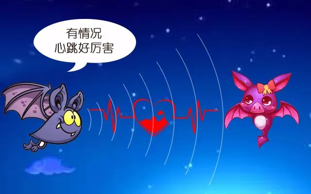 从伊朗导弹击沉自家军舰，聊聊导弹是怎么知道