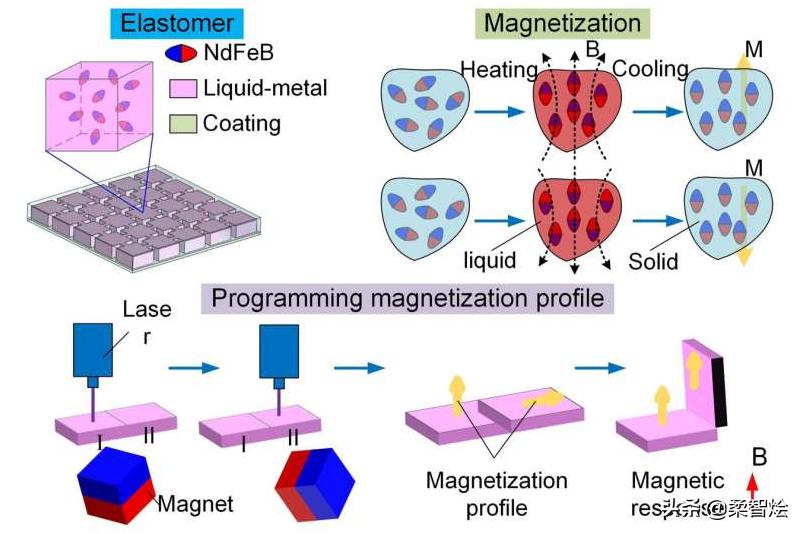 Chinese Academy of Sciences develops shape programmable magnetic pixel ...