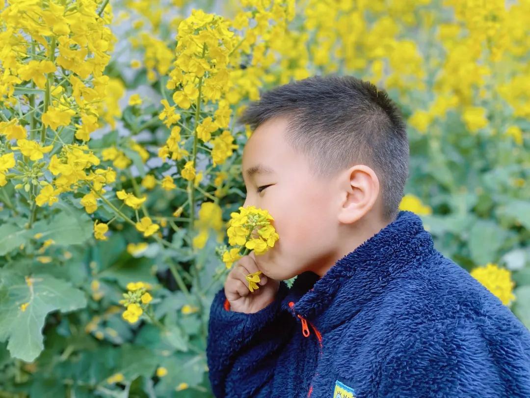 带上五官到校园里寻找春天——成都市华中附小大自然的语文课
