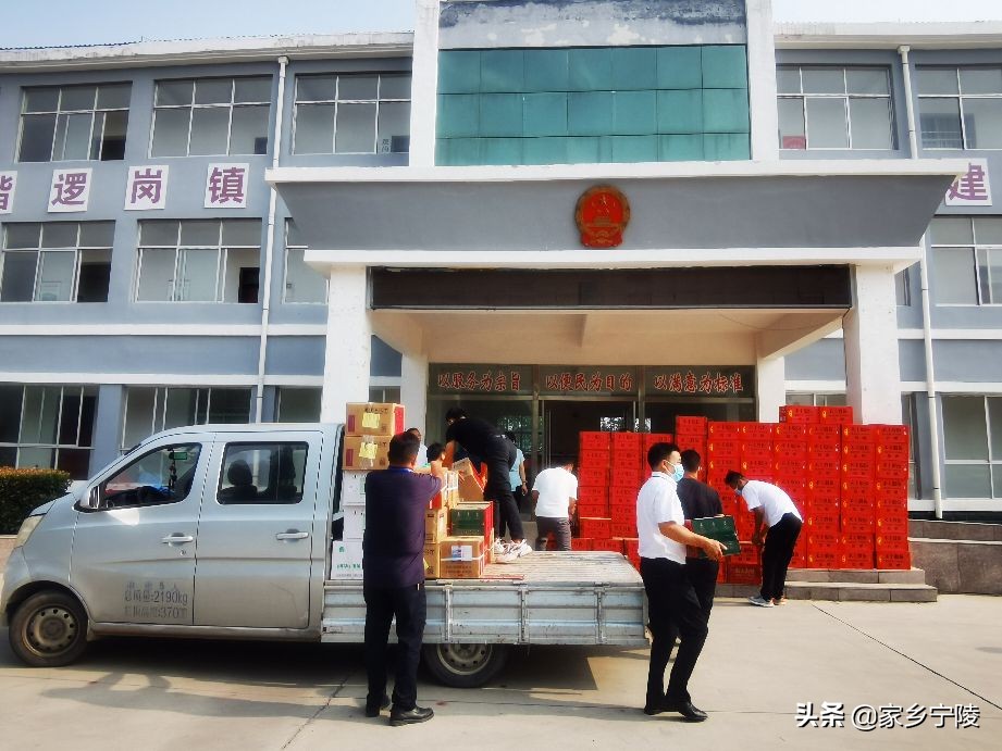 助力抗疫！禾丰集团开封分公司与宁陵聚民养殖为逻岗镇赠送慰问品