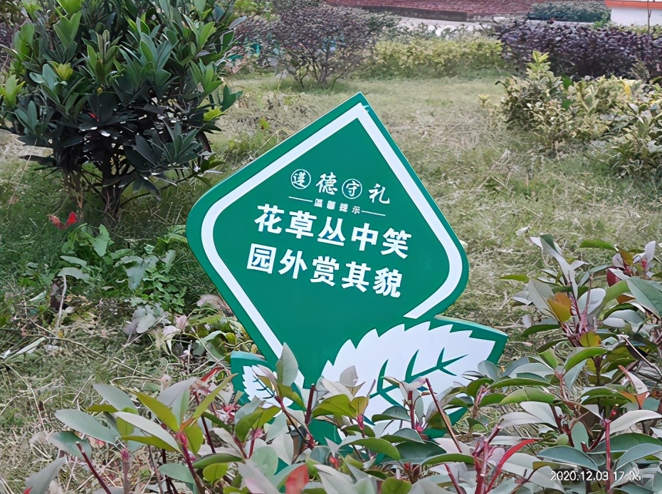 湖北武穴宋银刚：点燃激情，焕发青春，办人民满意的学校