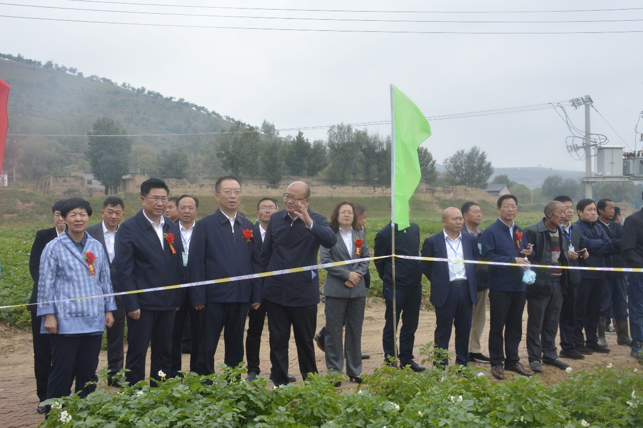 陕西  马铃薯  观摩|陕西省马铃薯全程机械化演示观摩现场会在靖边举行