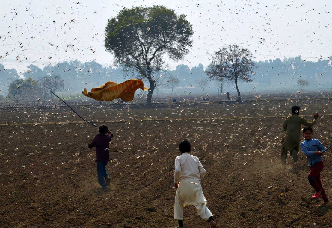 ���ӡ���Ĳ�ֻ�ǽ�ž���һ��ʿ���п಻��������������������