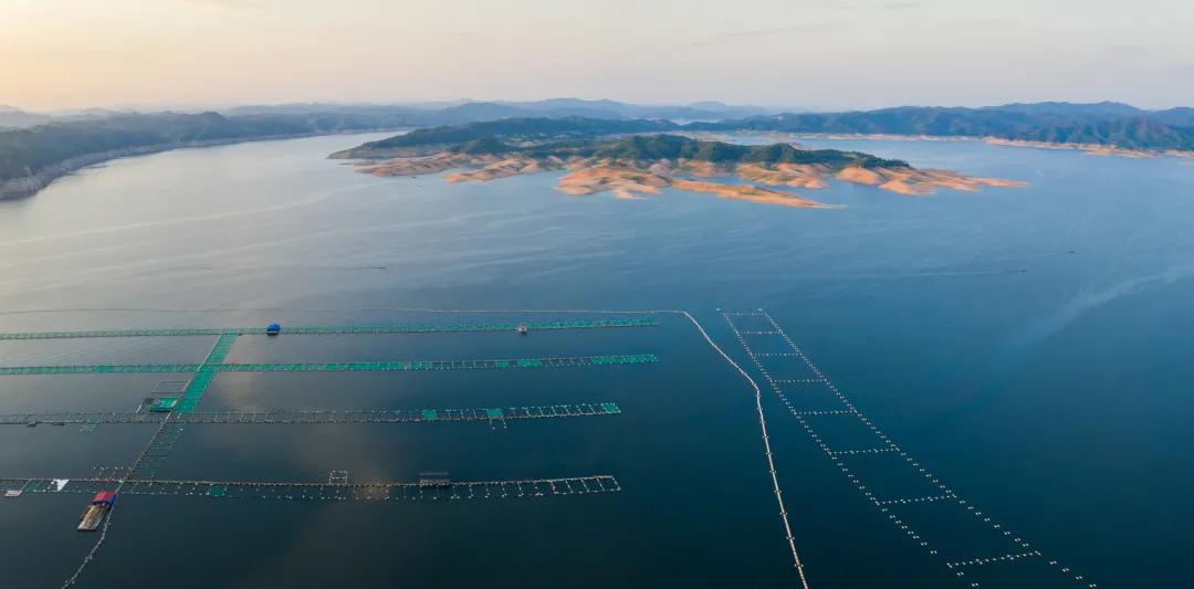 服务碳中和目标：海水养殖践行“海洋负排放”的途径