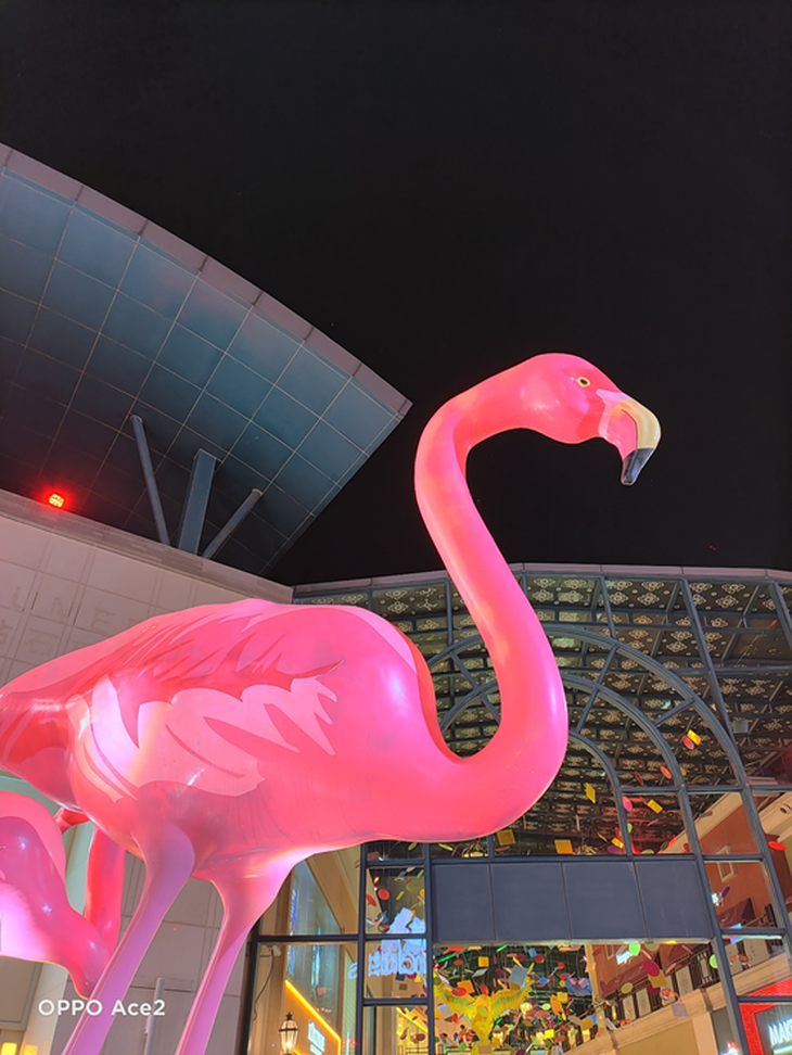 5G性能小钢炮，OPPO Ace2售价3999元，诚意十足的轻薄旗舰