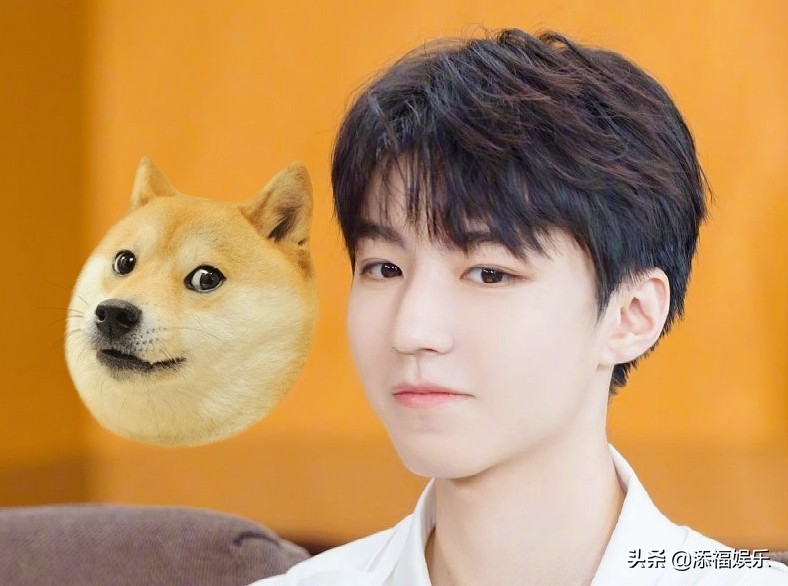 五个男生喜欢上同一女生咋办？王俊凯在线吃瓜