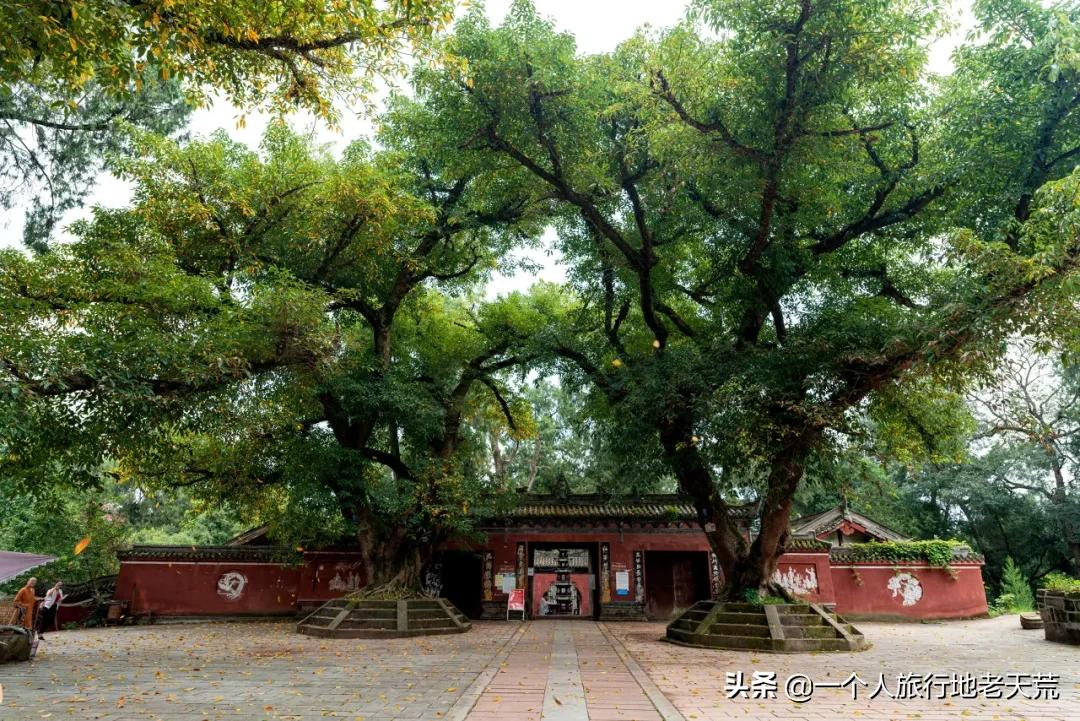 李子柒“隱居”地公開,這座比成都還安逸的城市,究竟是什麼地方