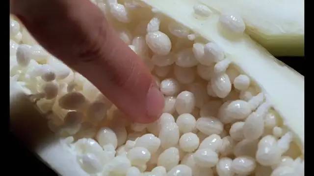 这CP何时能光明正大