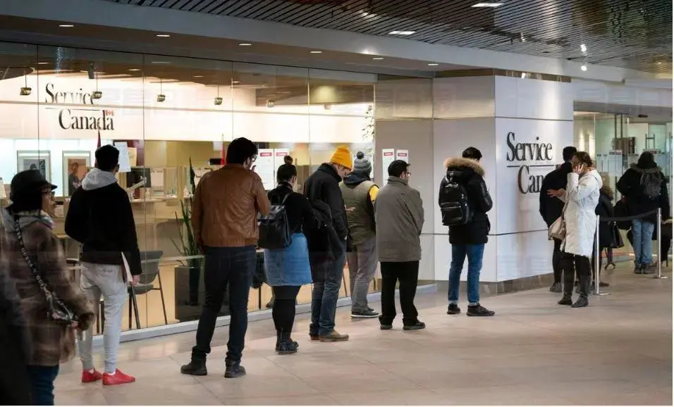 现在加拿大物价如何?食品、外卖、车、房竟然都在涨