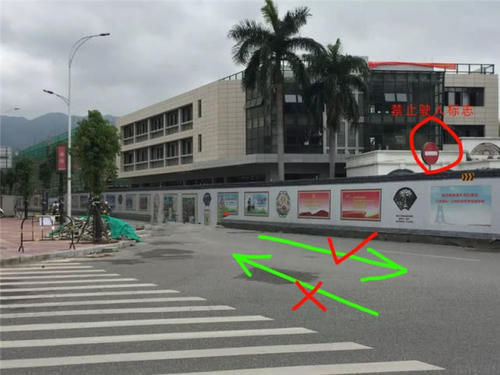 开车误入单行道咋办？交警：教你一招挽救，既