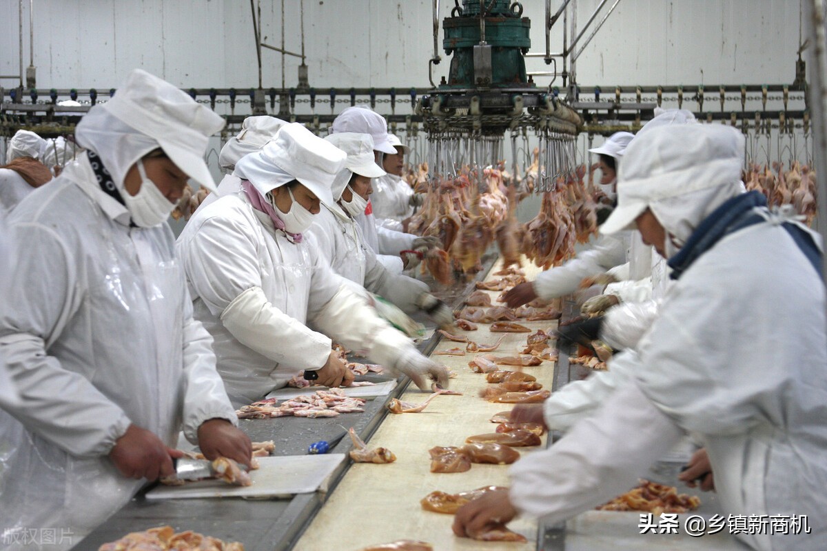 不愁销路的小型加工厂项目年入百万(2020年最新小型加工厂项目有哪些?)