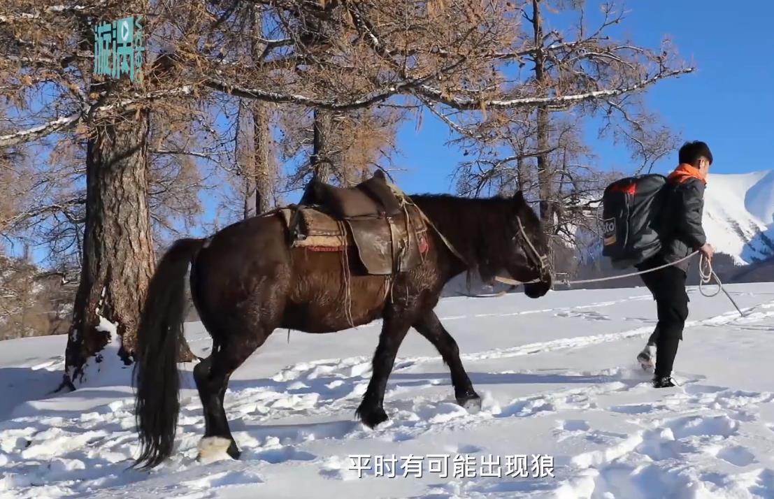 北方人打雪仗都带医保？战斗场面太爽，南方人都酸了