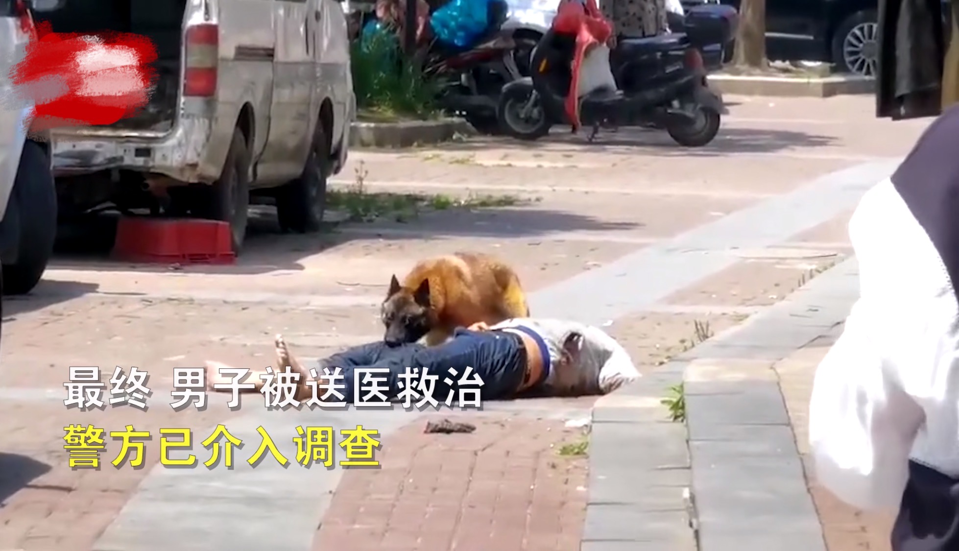 网传江苏一男子遭恶犬当街撕咬致死，还被车轧脚？街道办回应-第4张图片-大千世界