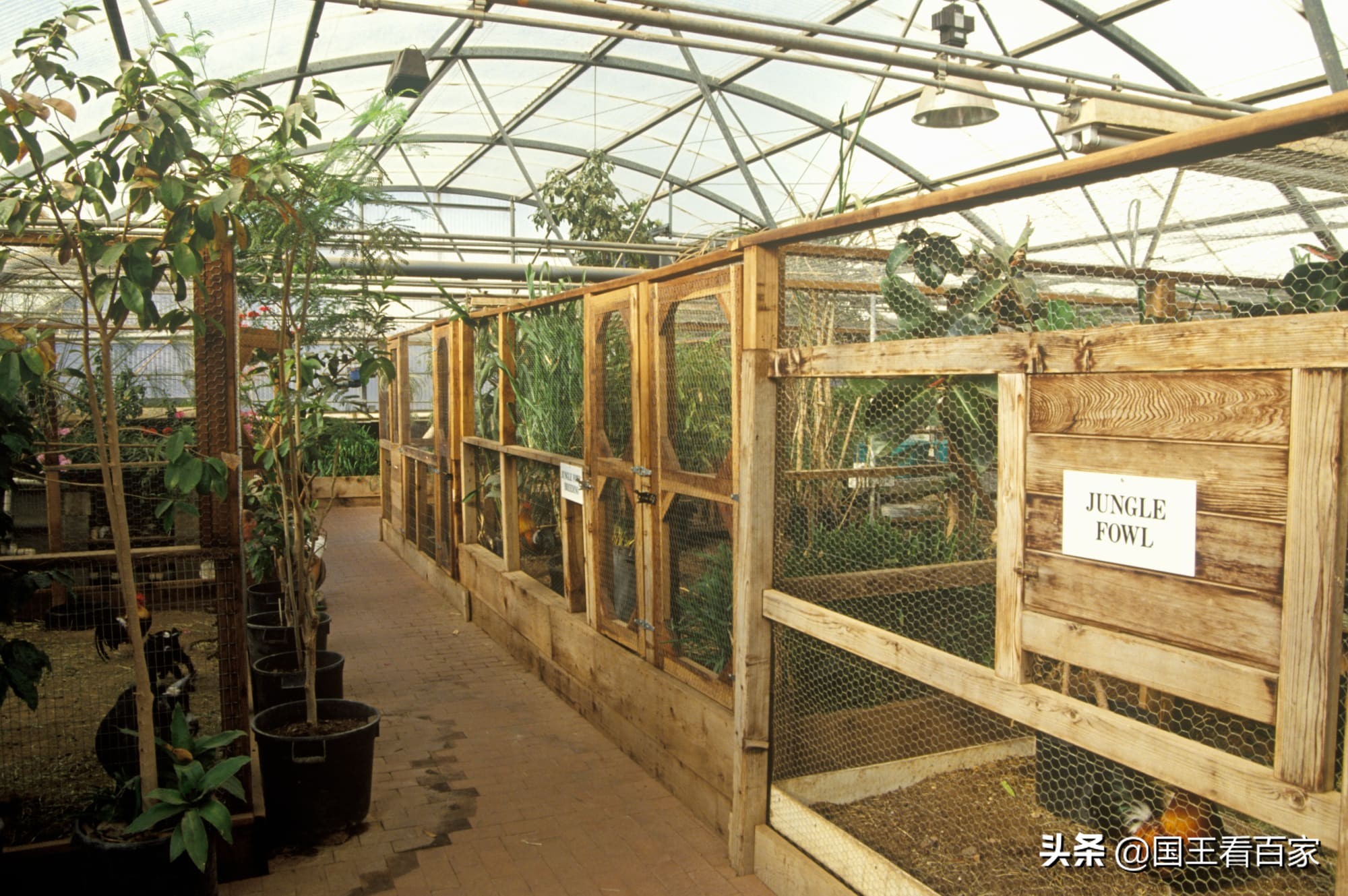 9年前，生物圈2号彻底失败，隔离两年，只为再造