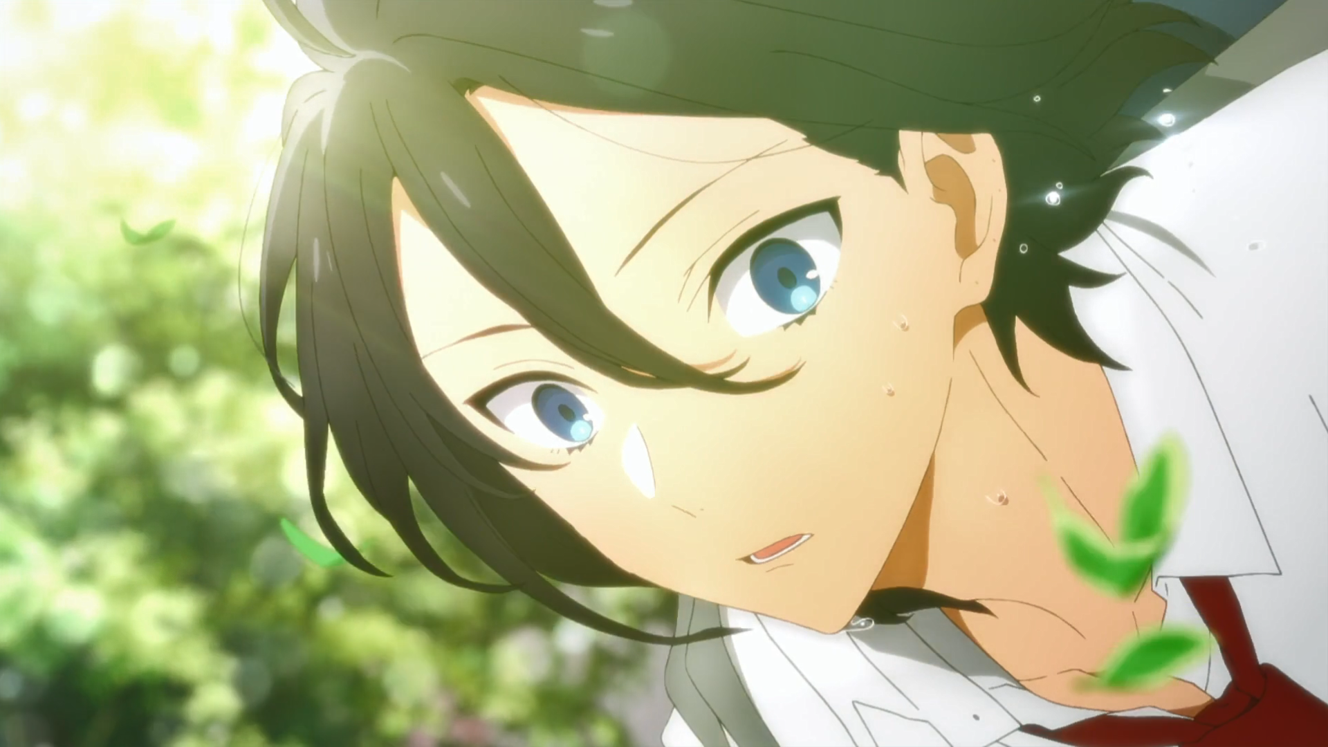 实至名归!豆瓣9.2分,一月最能打恋爱番《堀与宫村》糖分满溢