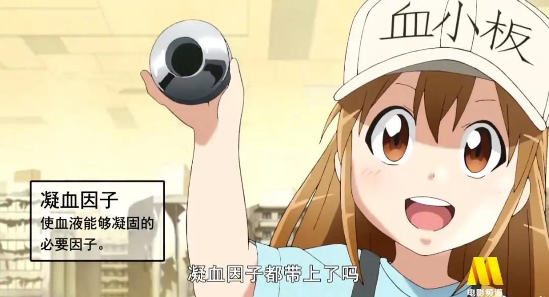 日本动漫，重归卫视“主流”？