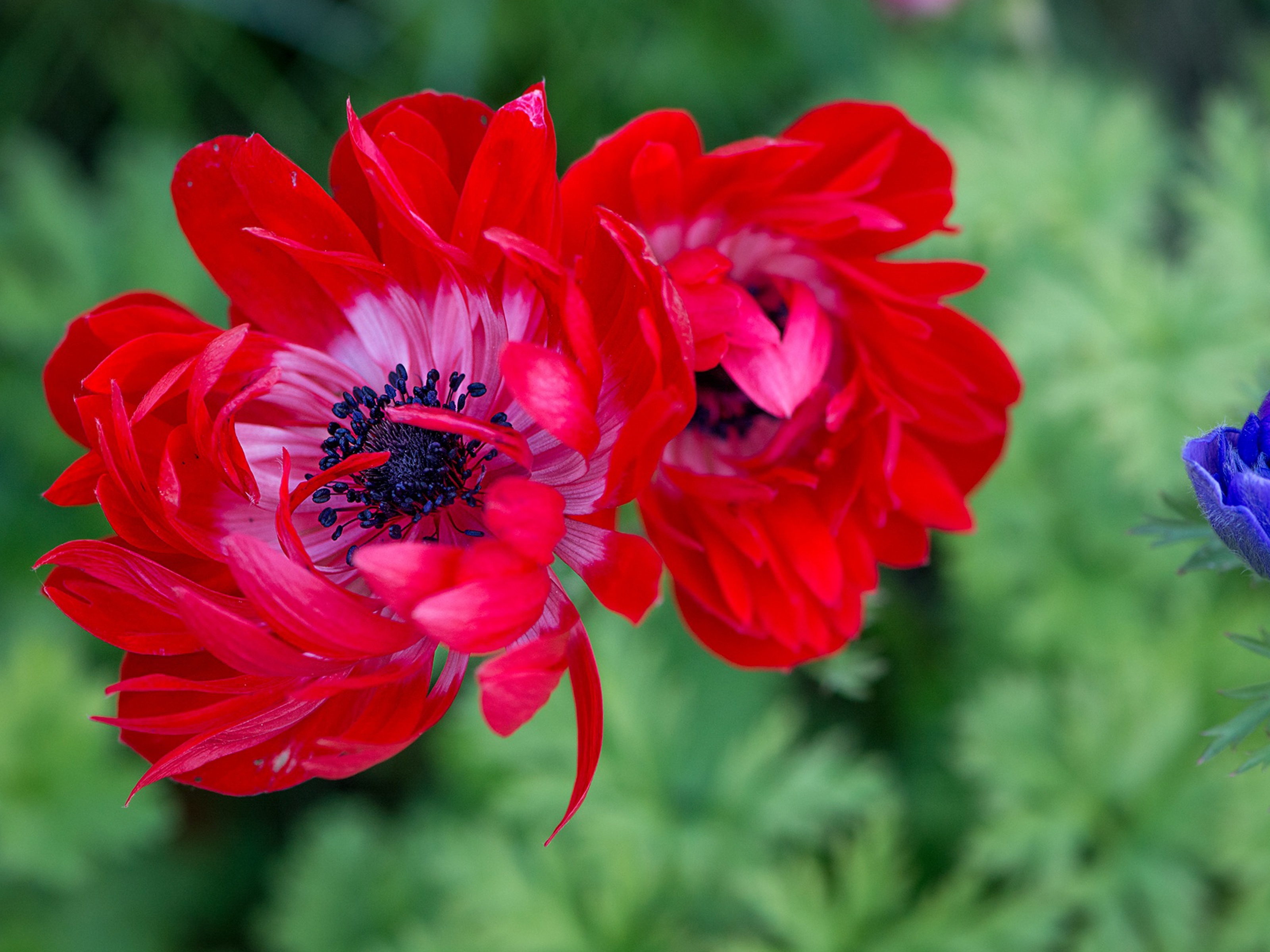 7月14日 18日星座运势 白羊座注重细节 射手座脚踏实地 资讯咖