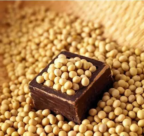 腎病不能吃豆類？ 正確答案是能吃！ 本文告訴你如何吃