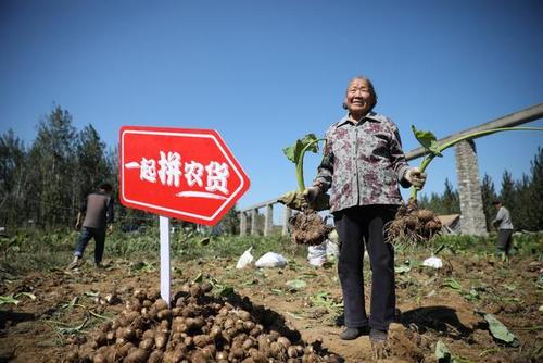 这10句话，揭示了“拼多多”的本质