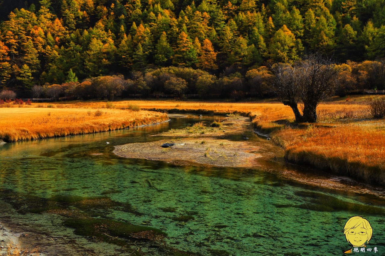 The golden autumn is here again, if you want to go to Aden, Daocheng, you should set off